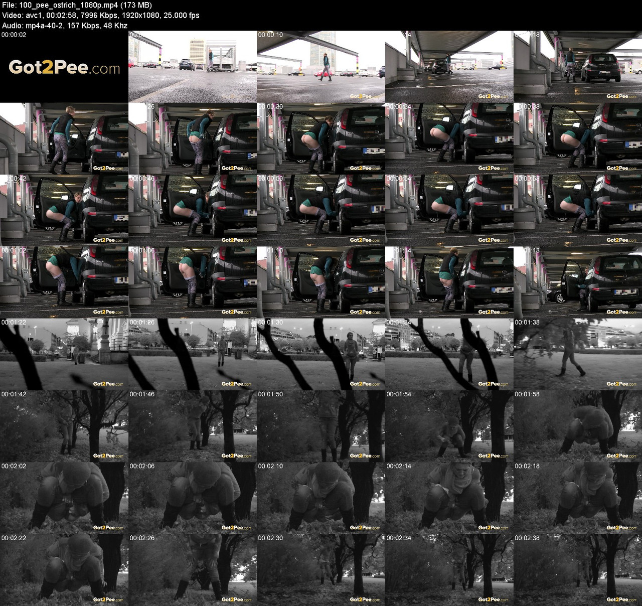 100 pee ostrich 1080p