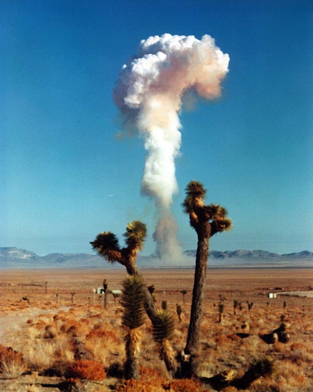 NUKE (8)