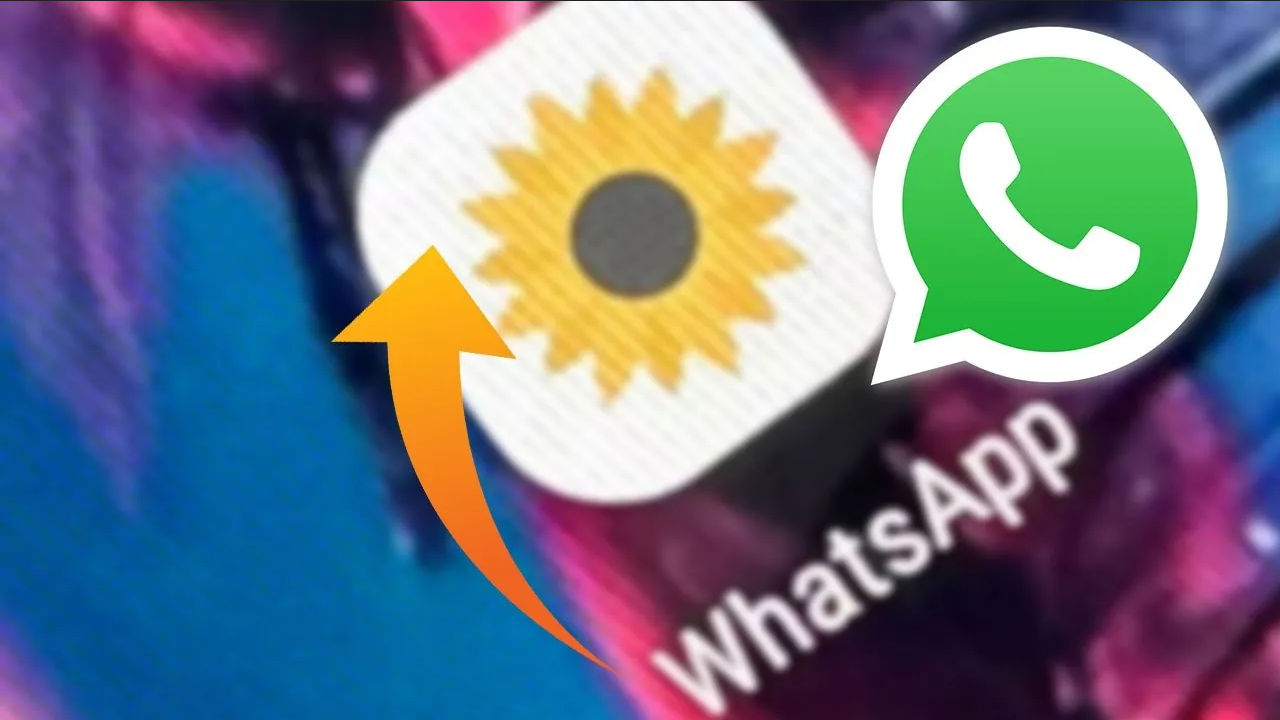 ¡Activa el modo flores amarillas en WhatsApp y celebra la primavera!