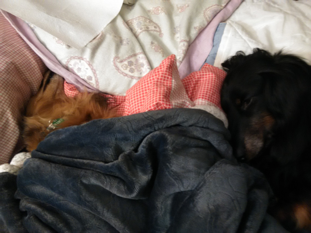 [Image: IMG-20211130-011136.jpg]