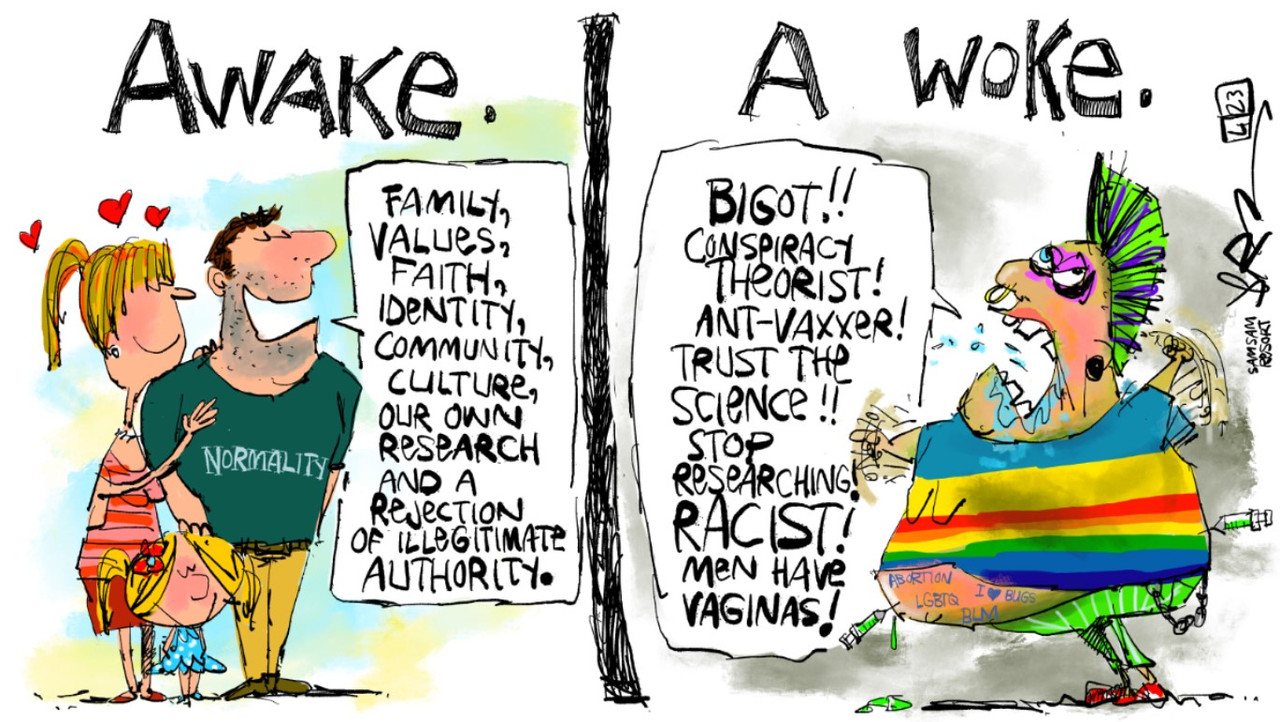 awake-vs-woke