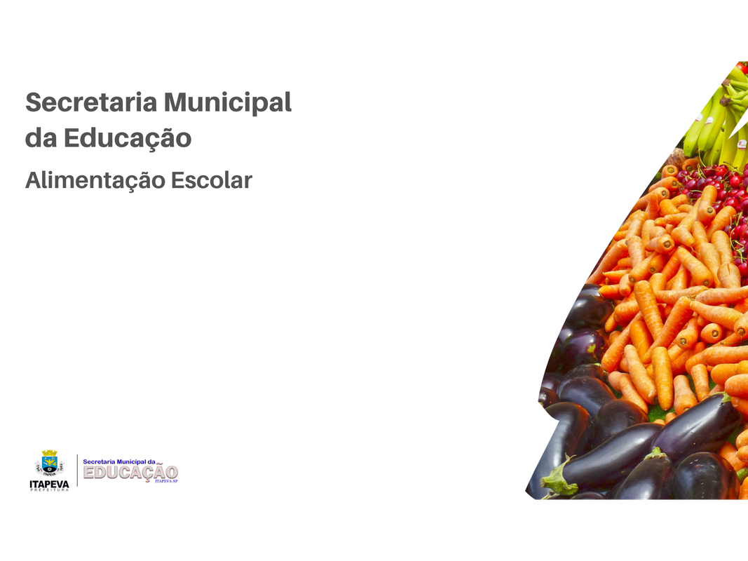 Sistema Educacional