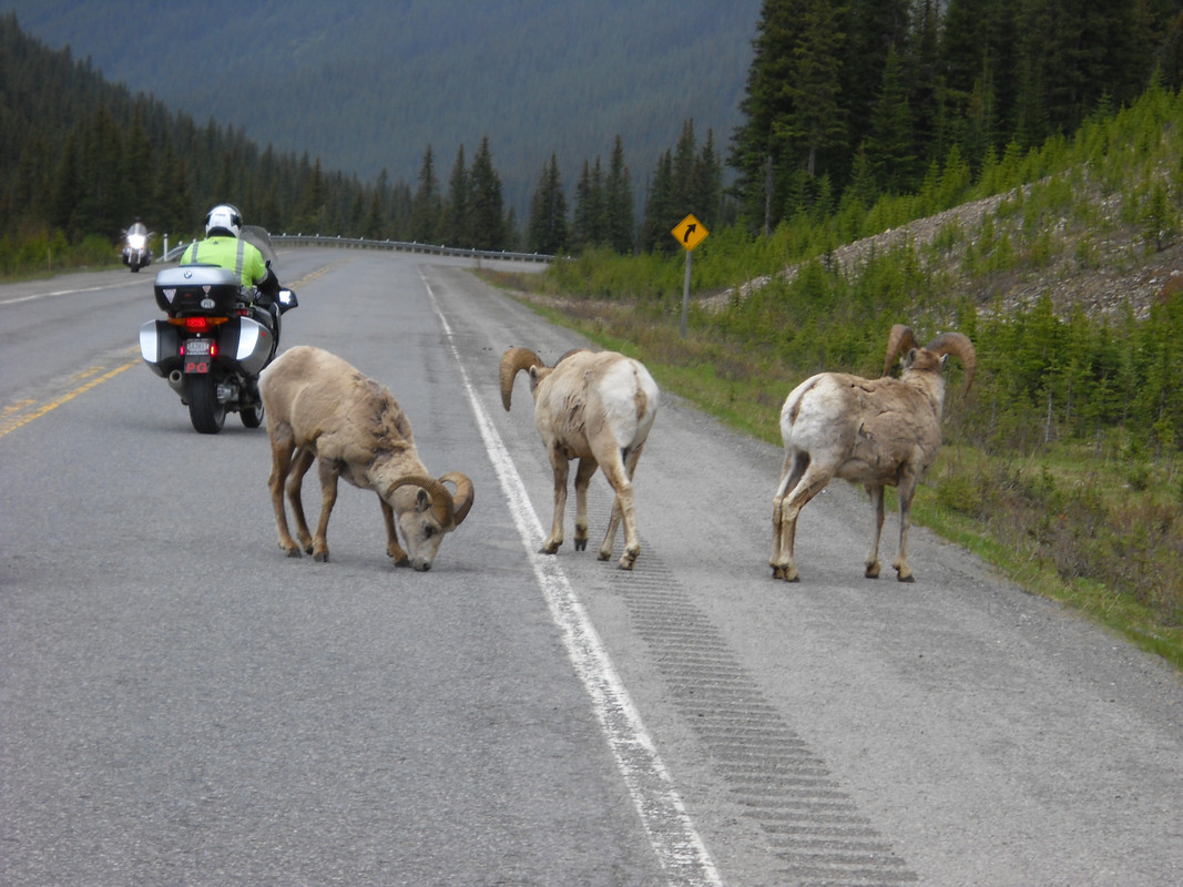 0064-Helena-Jasper-6-22-14.jpg