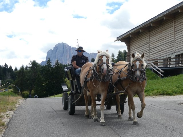 DÍA 6 – Alpe di Siusi / Lago di Carezza - Dolomitas y noreste de Italia en verano de 2025 (En construcción) (4)