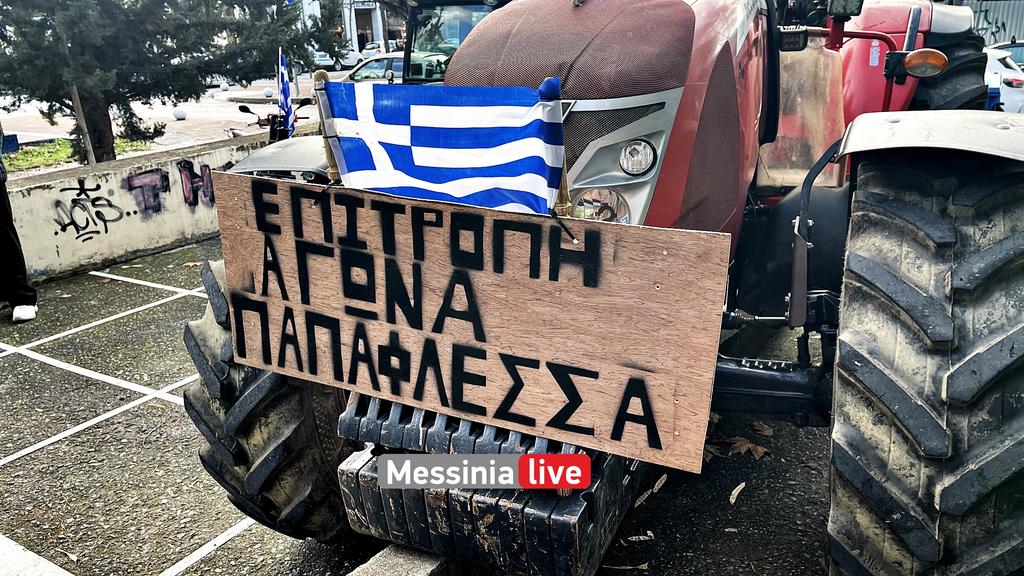 AGROTES-DIKASTHRIAIMG-1298
