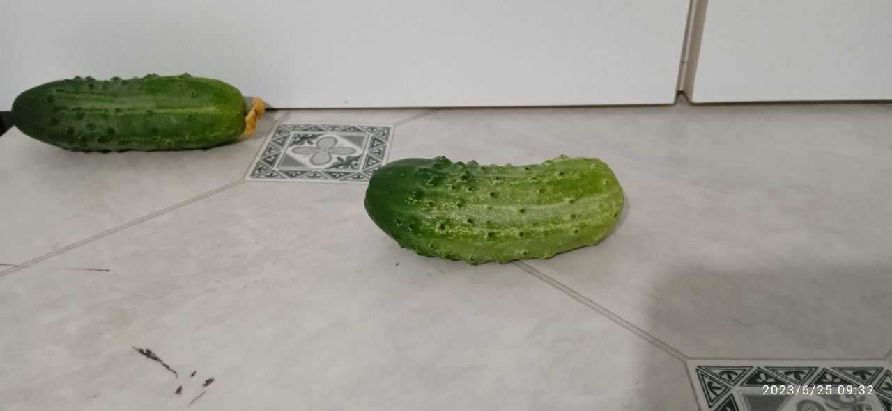 1687681992450