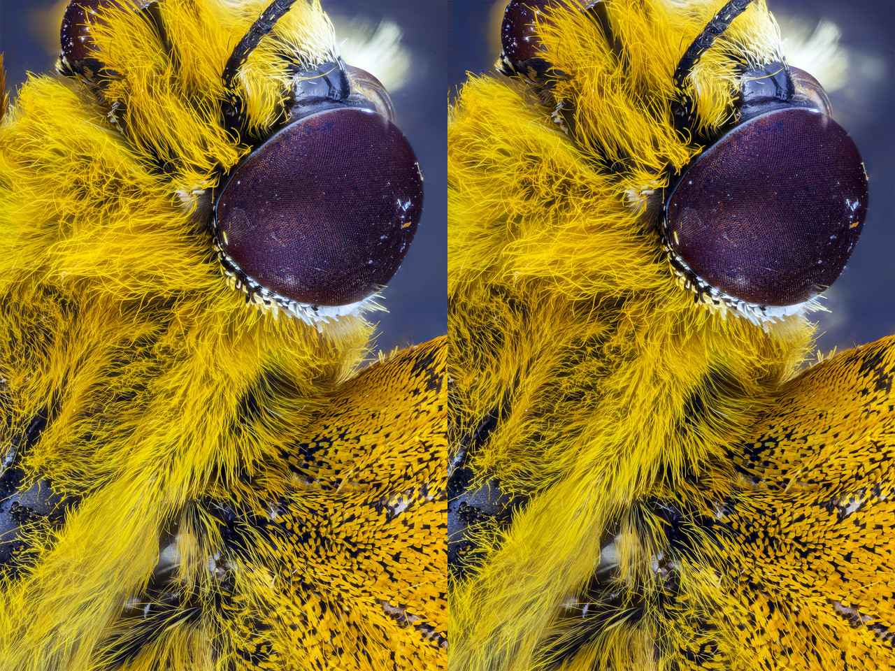 Stereo 2 6 Cross Tpnd 4K