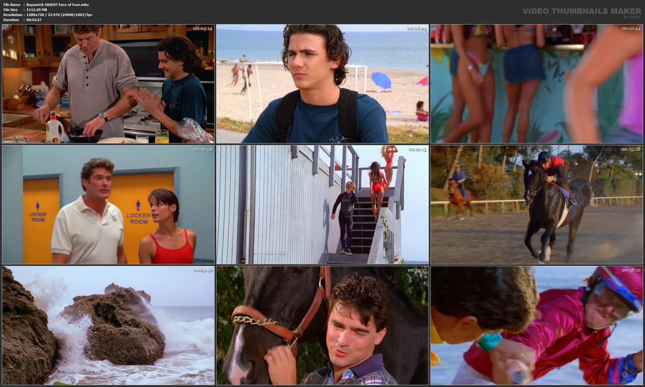Baywatch S06E07 Face of Fear.mkv