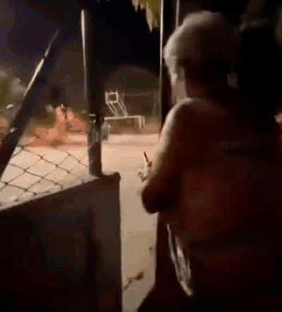 67.gif