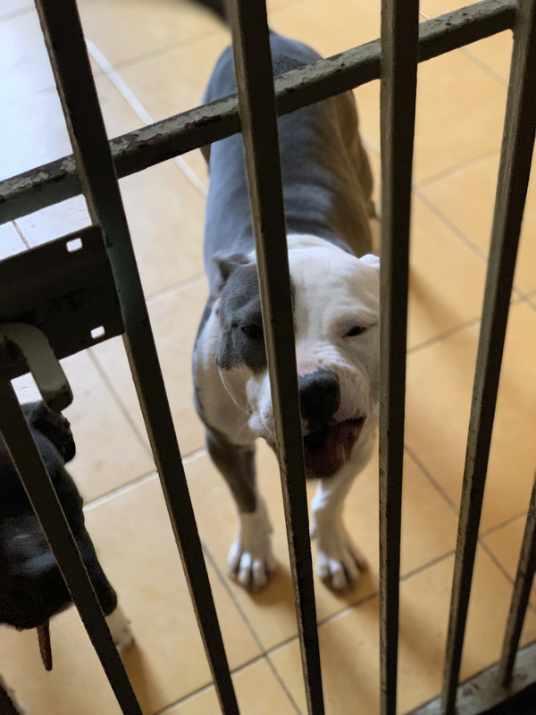 B0678121-2057-4F1A-8D54-F8AD7814F6F0