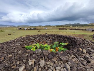 Isla de Pascua - Chile - Blogs de Chile - Vaihu-Ahu Akahanga-Rano Raraku-Ahu Tongariki-Te Pito Kura-Ahu Nau Nau-Anakena (4)