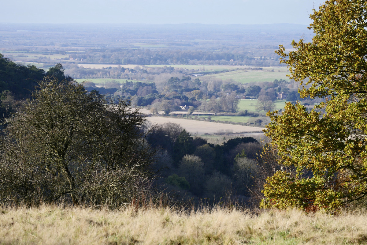 B67894A8-9C89-400C-B01E-BE225D8283D6