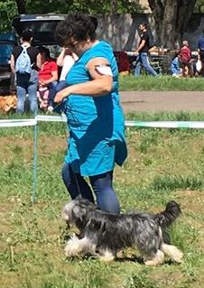 31689265_214097265846476_8070420390167445504_n (1)