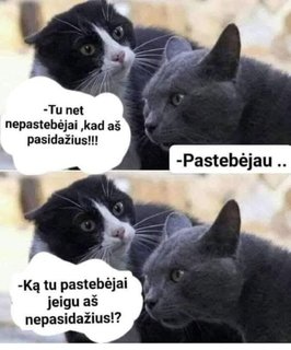 Paveikslėlis
