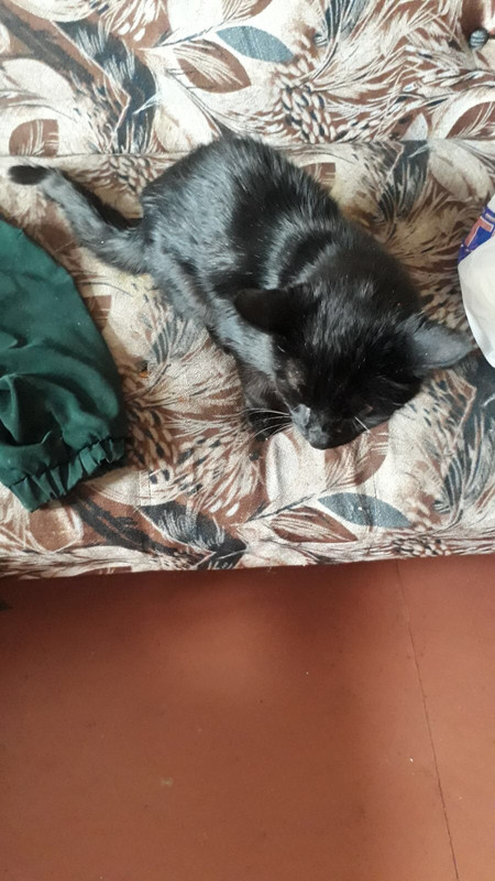 F536EED9-0F58-4647-882D-02D2B38B09CA