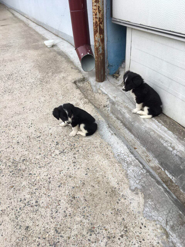 F0C604A6-30AF-4E9A-9D23-08711A42ED46