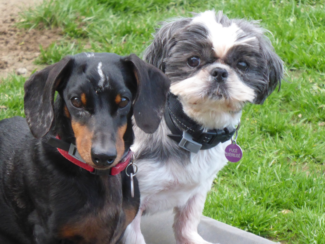 [Image: P1020373.jpg]