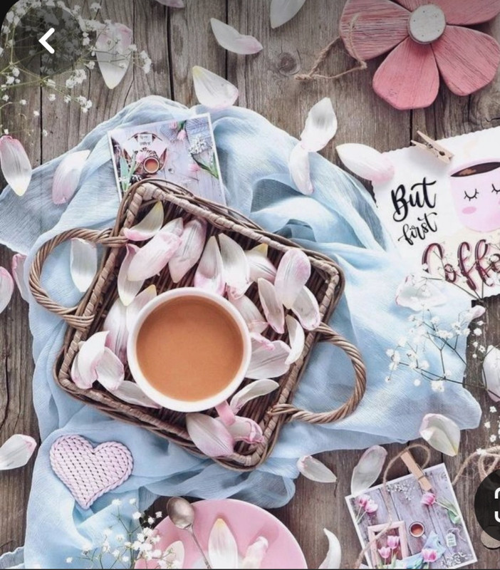 Screenshot_20240206_193322_Pinterest