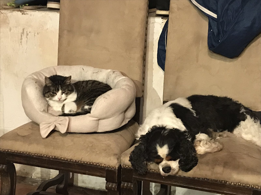 8621EFE6-F401-44B9-B559-C056F5571138