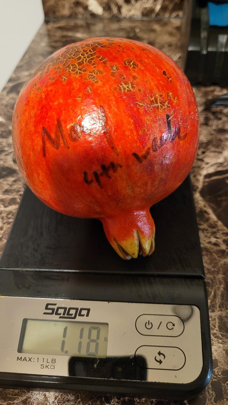 e6bf162cf15c104230cfcc399e706cb1e77ac560