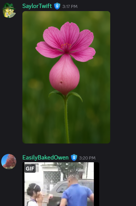 [Image: image.png]