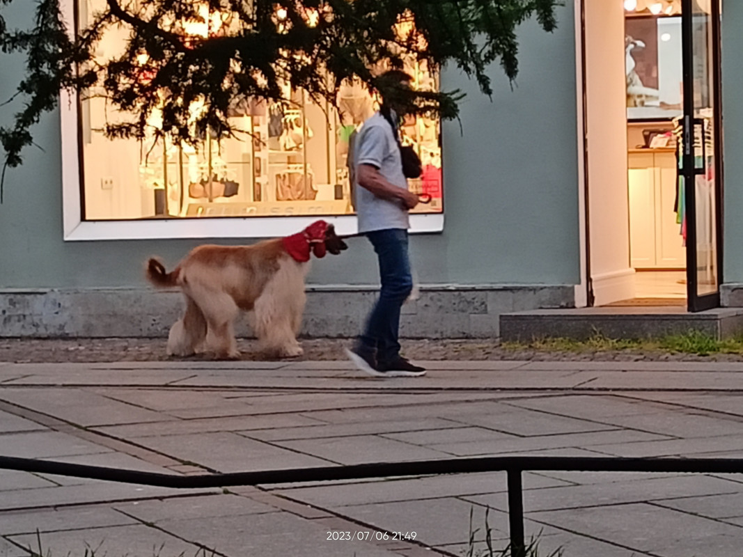 IMG20230706214942