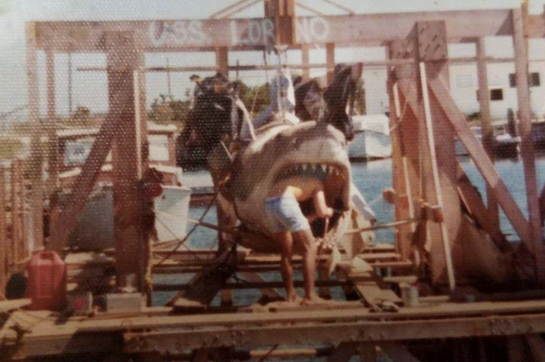 Jaws Rare Photos Frame Grabs Images Behind The Scenes Pics Etc