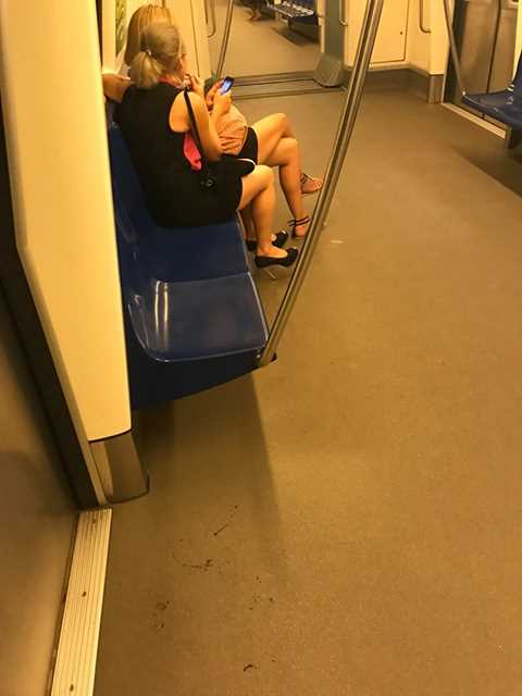 53599123_382037872615318_1990627027123699712_n_382037865948652