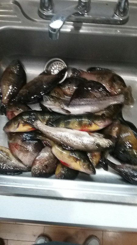 thumbnail (1)opening