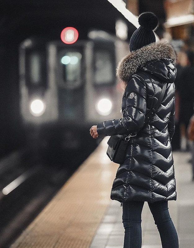 Danka_Dublin Fulmarus02