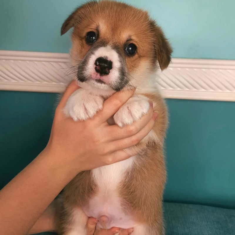 NA1ov0SmXFiuxv7SvRuQV1wtRvhlW3wGzquXOgBnftN06EpqxRJWoFVpaxMY0-AHC03HReU-NSn-mbLahjmXC_91