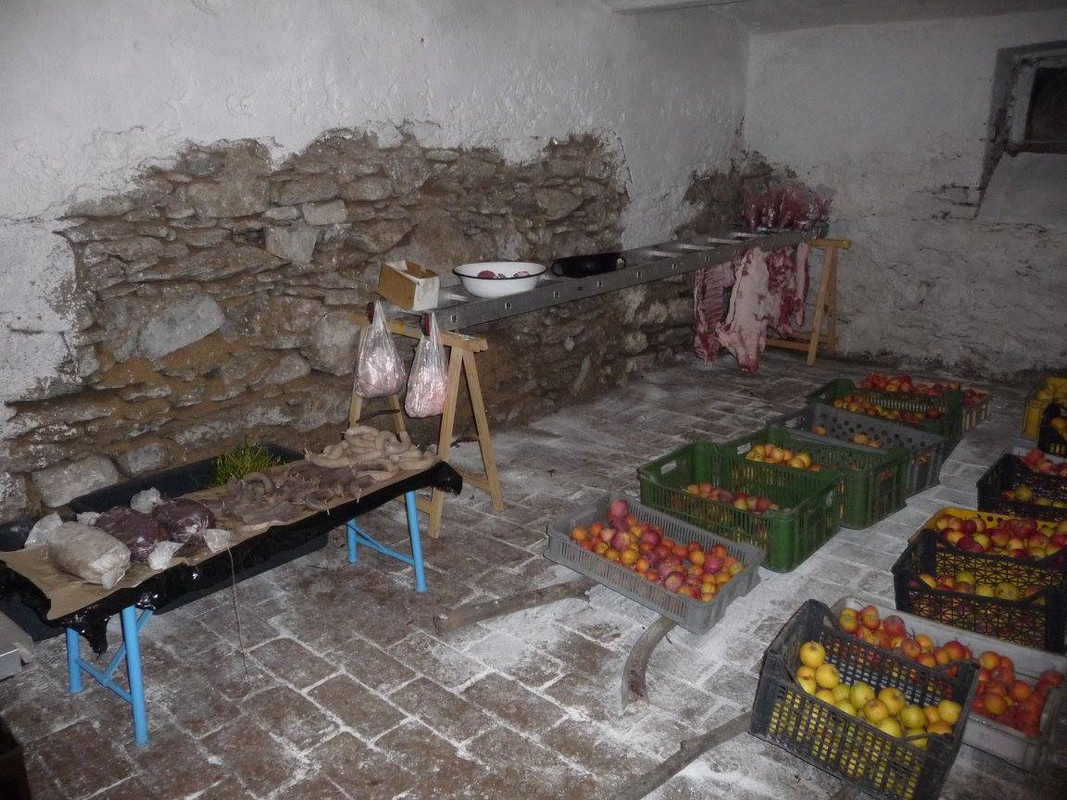 12622506_10205769357012658_6550500427443156503_o