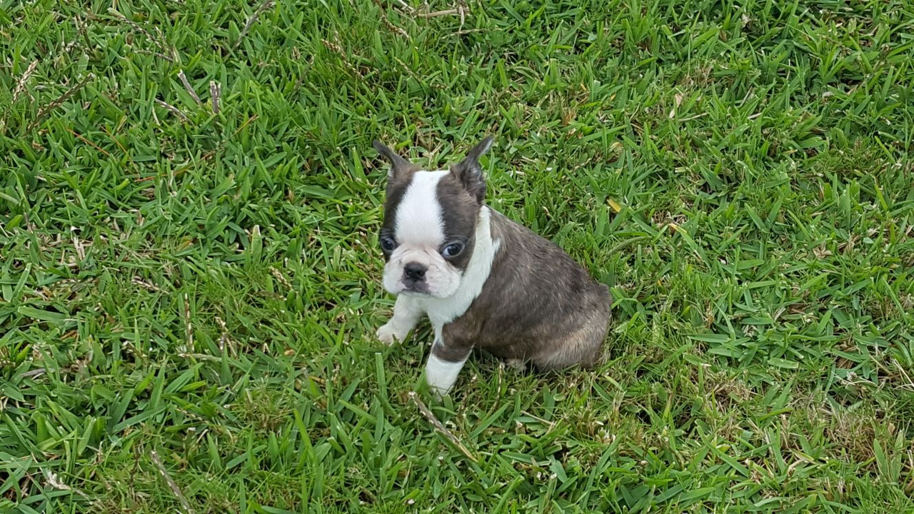 ECFFFB46-8601-4F6A-A7D9-9FD54FF79317