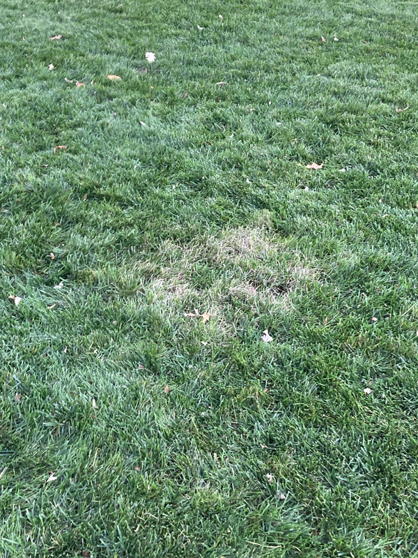 83DAE80C-365C-423D-8A42-D0790DB5813F