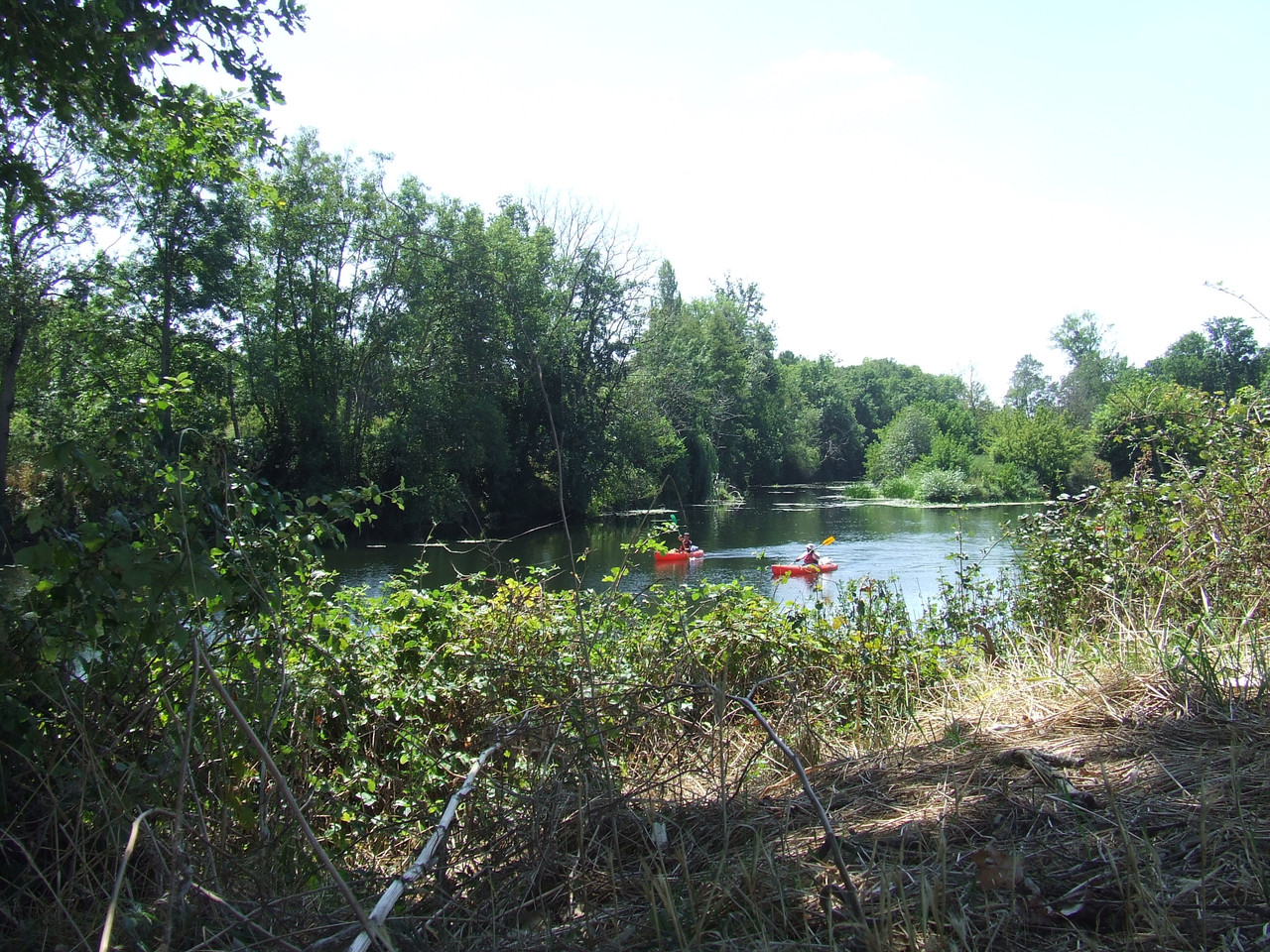 DSCF0747.jpg