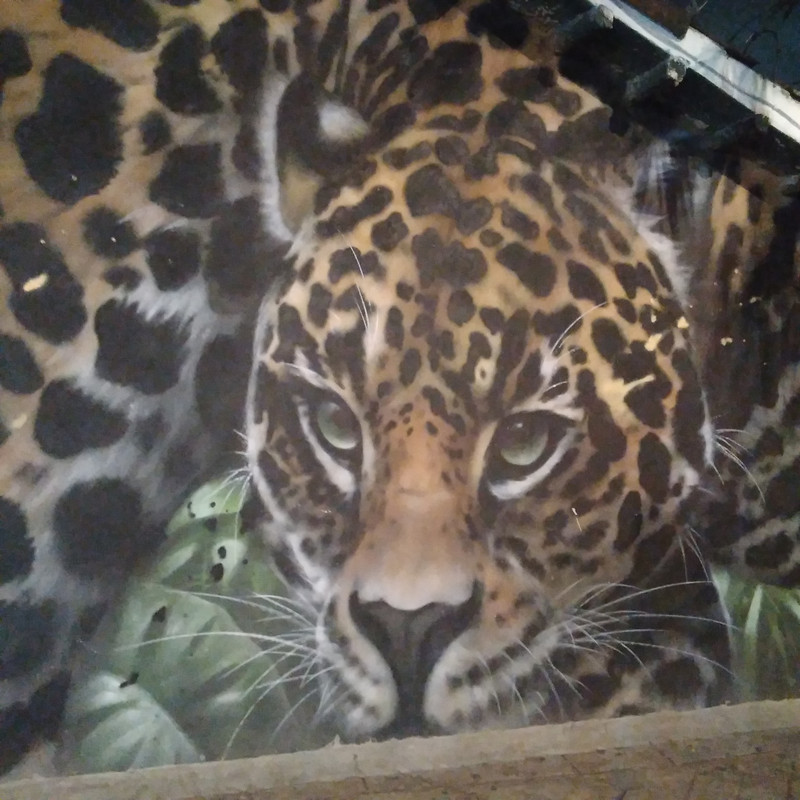 Зимовка 2026, полтора месяца в Колумбии.