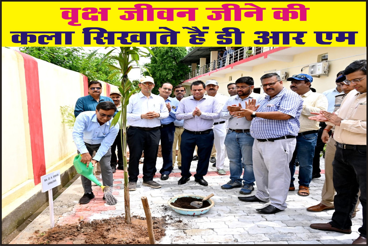 वृक्ष जीवन जीने की कला सिखाते हैं डी आर एम 
