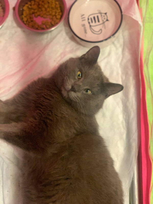 691F3120-24D5-4F33-A65F-28FFD2EB8FFE