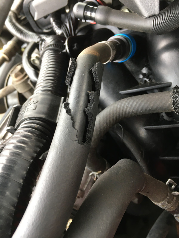 9A54372D-627E-41DB-BDF0-F5D433A1A663