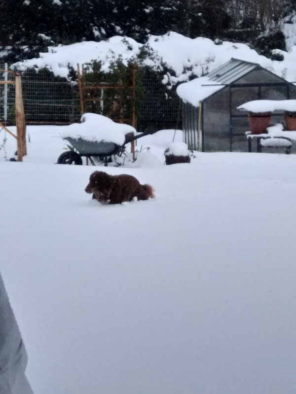 [Image: IMG-20220402-184801.jpg]