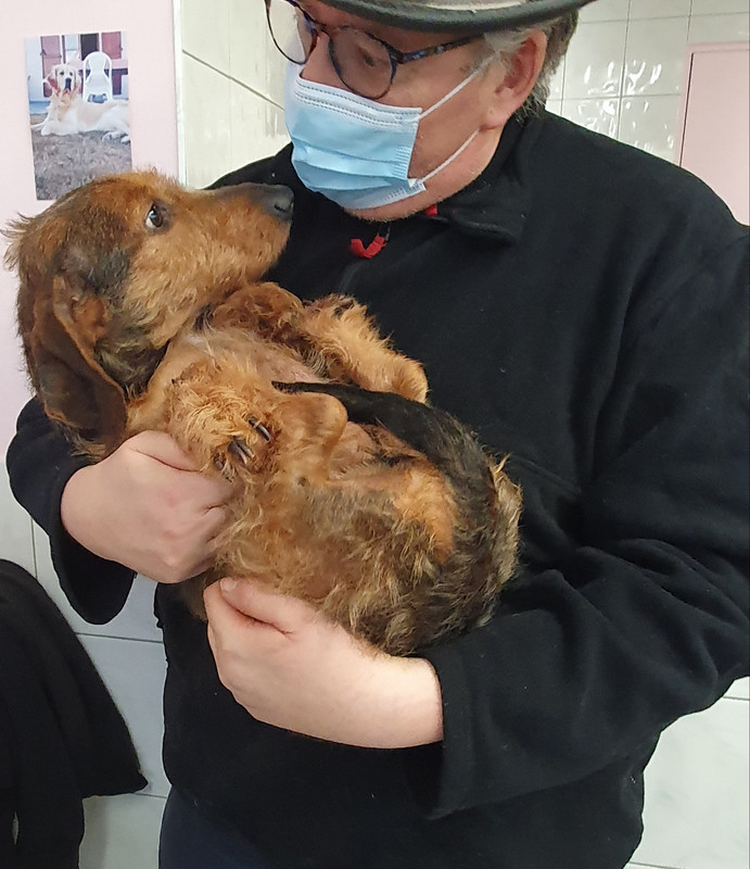 [Image: 20210108-161635.jpg]