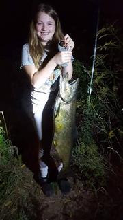 Bronte Creek Salmon