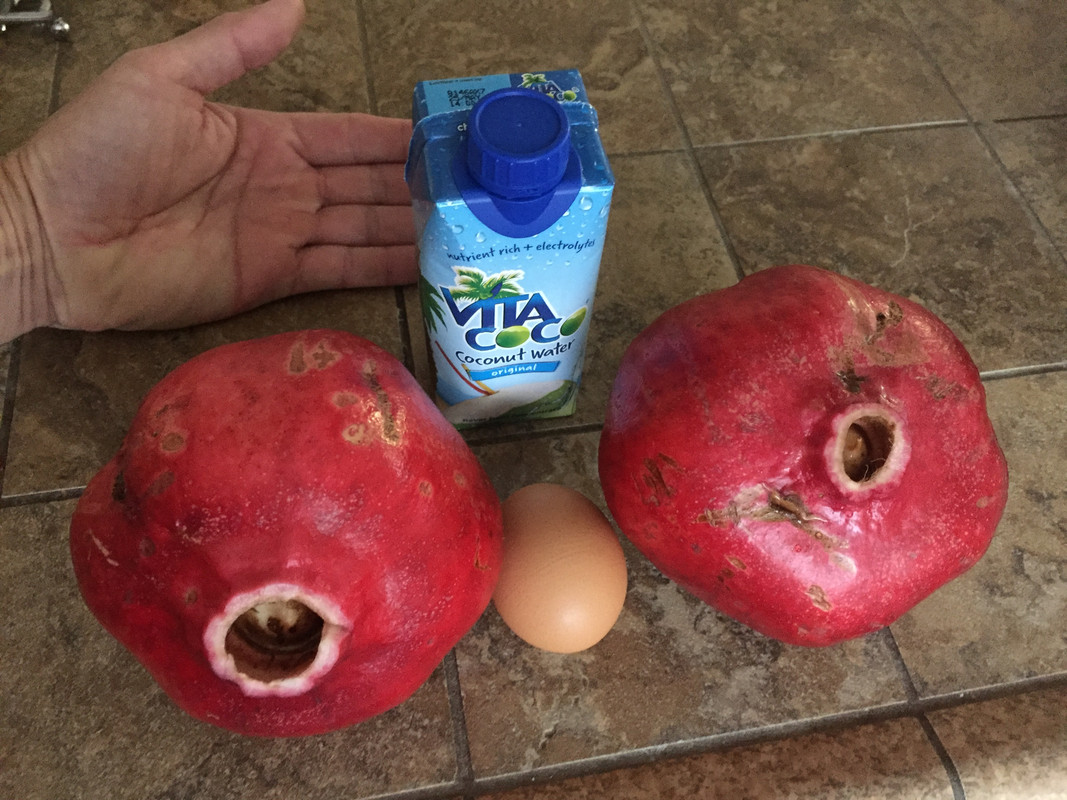 D3DBC44F-EA70-4F1B-8241-64014D76045B