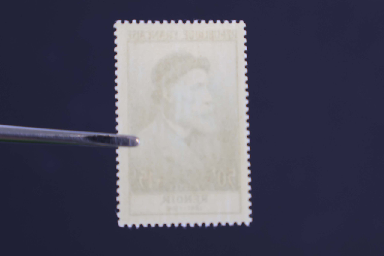 IMG 7247