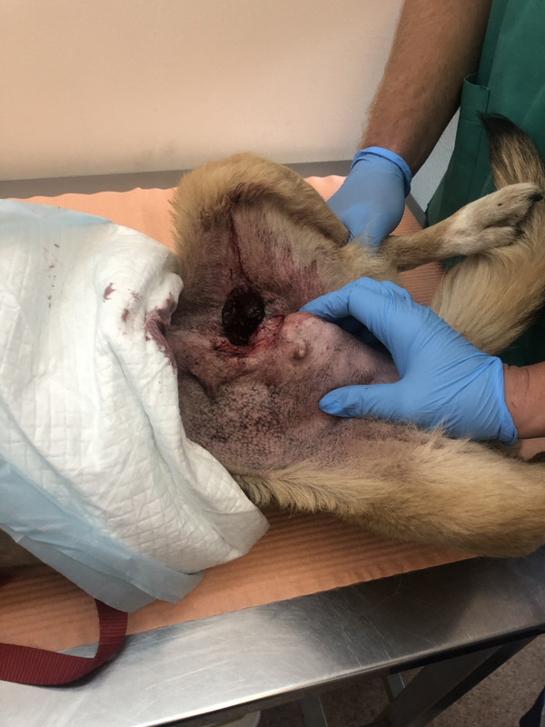 31FFCAF3-B2D3-4C13-AD15-4FAD699E5110