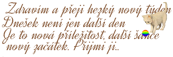 Nov-projekt.gif