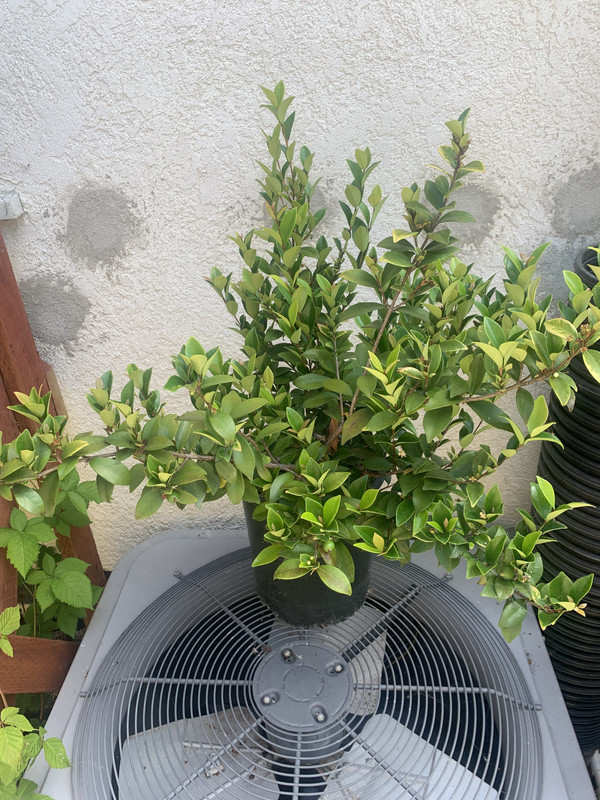 83155665-1199-4128-8DFC-2D22D995B7A7