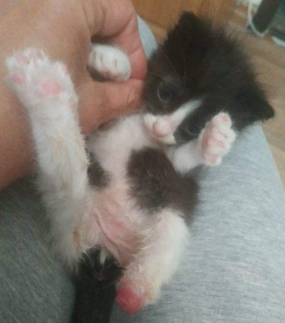 изображение_viber_2022-05-30_13-34-57-955