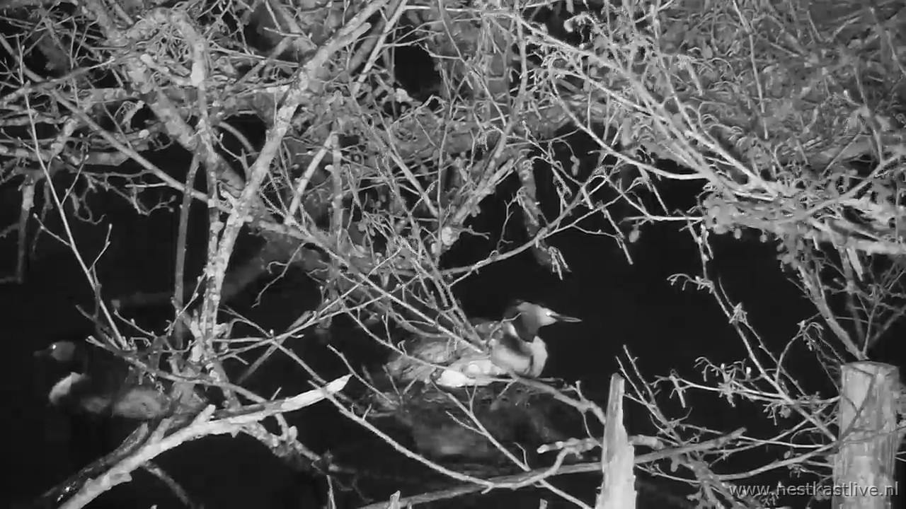 snapshot 2026 04 03T203656 748