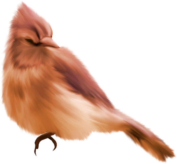 TADD_elements_ShimmerFall (61)